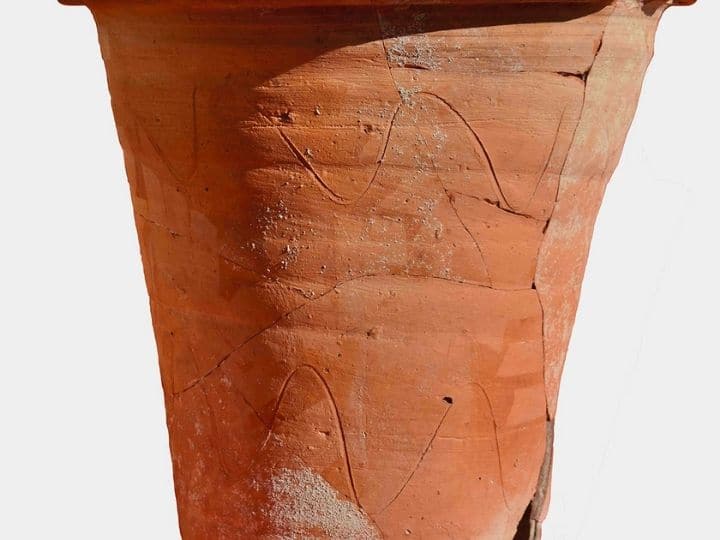 Ancient Romans Used Ceramic Pots As Portable Toilets. Parasitic Eggs Reveal Era Of Their Usage Ancient Romans Used Ceramic Pots As Portable Toilets. Parasitic Eggs Reveal Era Of Their Usage