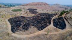 PHOTO :  आगीनं हिरावलं सह्याद्री देवराईचं सौंदर्य, पण 15 दिवसात बहरणार झाडं