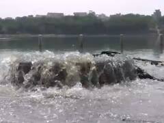 PHOTO : गोदावरी नदीचं गटारात रुपांतर, नांदेड पालिकेचा हलगर्जीपणा