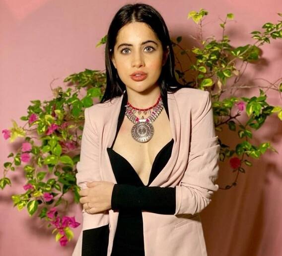 उर्फी जावेदच्या 'त्या' फोटोमुळे चाहते पडले गोंधळात