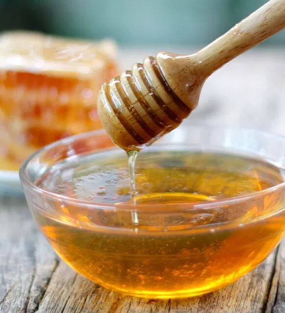 health tips, benefits of honey, know in details Benefit of Honey: শুধুই স্বাদ নয়, মধুর গুণের তালিকাও দীর্ঘ