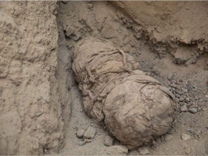 Six Ancient Mummies Of Children, Apparently Sacrificed For A Nobleman, Found In Peru | See PICS