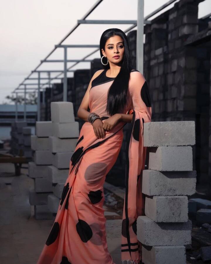 చీరకట్టులో అలరిస్తున్న ప్రియమణి -Image credit: Priyamani/Instagram