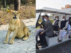 Rajgir Zoo Safari: राजगीर में जू सफारी घूमने की कर रहे हैं प्लानिंग? तब तो जरूर पढ़ें ये खबर