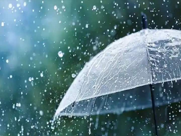 Weather Update Report: Get to know about weather forecast of Kolkata district today from West Bengal 19 February Kolkata Weather Update : ফের বৃষ্টির ভ্রূকুটি  শহরে,  কবে থেকে ভিজবে শহর ?