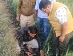 MP: Leopard Footprints Spotted In Dewas, Locals Asked Not To Go Alone In Fields