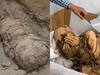 Six Ancient Mummies Of Children, Apparently Sacrificed For A Nobleman, Found In Peru | See PICS