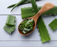 Skin Care Tips: દાદી-નાનીના આ ઘરેલુ સરળ અને નેચરલ ઉપાય કરીને મેળવો ડાઘ રહિત ગ્લોઇંગ સ્કિન