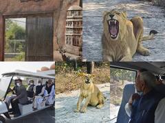 Rajgir Zoo Safari: राजगीर में जू सफारी घूमने की कर रहे हैं प्लानिंग? तब तो जरूर पढ़ें ये खबर