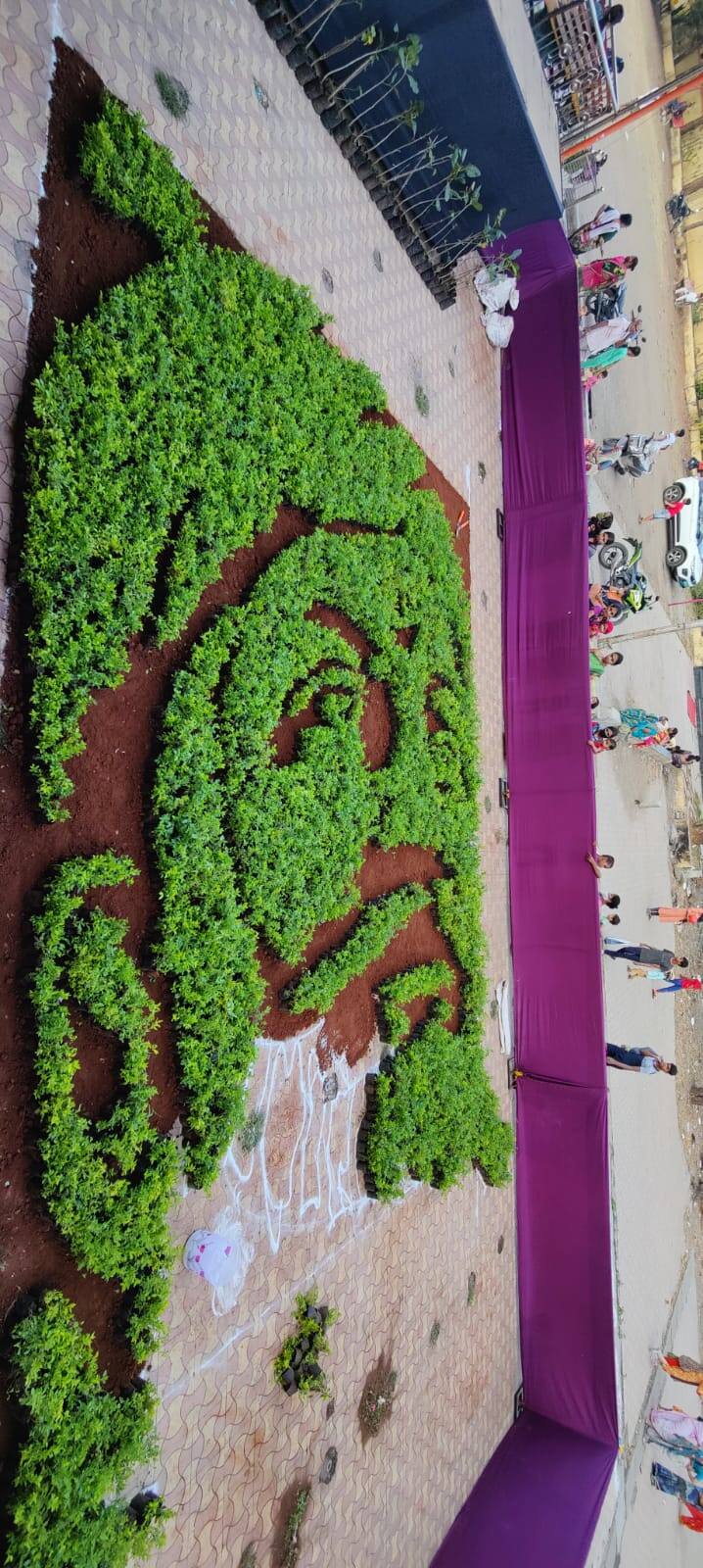 त्यानंतर विविध संस्था संघटनांना वृक्ष रोपांचे प्रातिनिधीक स्वरूपात वाटप करण्यात येणार आहे. ( All Pic Credit : कल्याण पूर्व सार्वजनिक शिवजयंती उत्सव समिती)