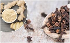 Health Tips: सोंठ और लौंग का एक साथ सेवन करने से सेहत को मिलते हैं कई फायदे