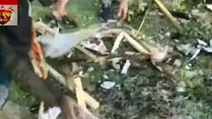 Municipal Election : ফ্লেক্সে আগুন থেকে কর্মীদের হুমকি, পুরভোটের মুখে উত্তেজনা ইংরেজবাজার-বাঁকুড়ায়| Bangla News