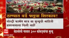 Thane Bird Flu: शहापूर तालुक्यात बर्ड फ्लूचा शिरकाव! 23 हजार कोंबड्या प्रशासनाकडून नष्ट ABP Majha