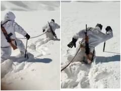 Watch: 15 हजार फीट की ऊंचाई पर गस्त करते दिखे ITBP जवान,  बर्फीले इलाके को किया पार