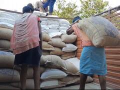 Dumka: दुमका में अधिकारियों की लापरवाही के चलते गरीबों को नहीं मिल रहा अनाज, डीएसओ बोले- एक्शन लेंगे