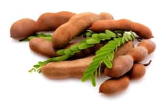 Health News: सेहत के लिए फायदेमंद होती है इमली, जरूर करना चाहिए इसका सेवन