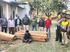 Surguja: रेत की आड़ में तस्करी का मामला, ट्रैक्टर ट्रॉली में लोड रेत के नीचे से 30 नग चिरान की लकड़ी जब्त