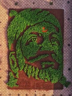 Shiv Jayanti 2022 : कल्याणमध्ये सहा हजार वृक्षरोपांच्या माध्यमातून साकारली शिवाजीमहाराजंची प्रतिकृती