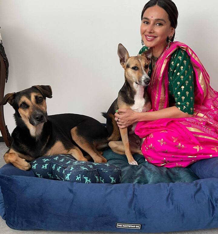 शिबानीनं तिच्या करिअरची सुरूवात अमेरिकेच्या एका टिव्ही शोचे सुत्रसंचालन करून केली.(Photo:shibanidandekar/ig)