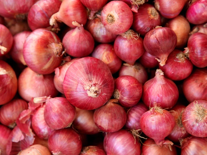 Gujarat News Onion will not bring tears this year, bumper crop expected in Gujarat by March Gujarat News: इस साल प्याज़ खरीदने से नहीं आएंगे 'आंसू', मार्च तक गुजरात में बंपर फसल की उम्मीद