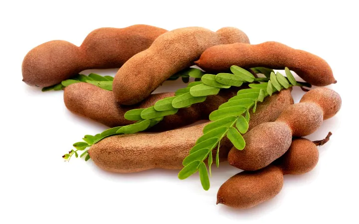 Health News: Tamarind is good for health Health News: ਸਿਹਤ ਲਈ ਫਾਇਦੇਮੰਦ ਇਮਲੀ, ਜ਼ਰੂਰ ਸੇਵਨ ਕਰੋ