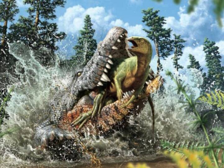 Scientists have found the remains of a 93-million-year-old crocodile with baby dinosaur in its stomach in Australia Baby Dinosaur In Crocodile | 93 மில்லியன் ஆண்டுகள்.. முதலையின் வயிற்றில் டைனோசர் குட்டி.. ஆச்சர்யமளிக்கும் ஆய்வு..