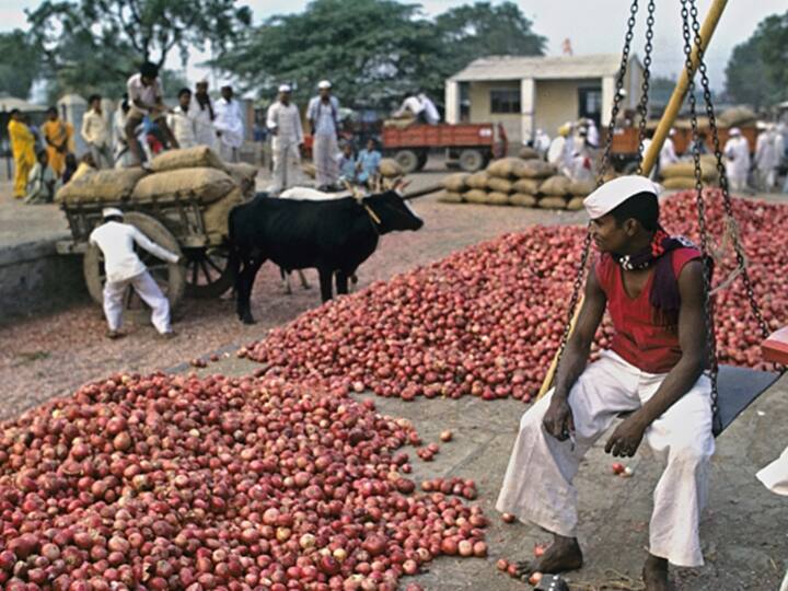 Government Releases Buffer Stock Of Onion To States To Check Price Rise Government Releases Buffer Stock Of Onion To States To Check Price Rise