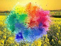 Falgun Month 2022: फाल्गुन मास में श्रीकृष्ण के इन स्वरूपों की पूजा है लाभदायी, जानें इस माह में क्या करें और क्या नहीं