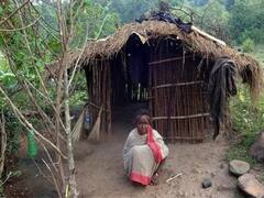 Jharkhand News : आदिम पहाड़िया जनजाति के डाकिया खाद्यान्न योजना में घपला, दो महीने से नहीं मिला गरीबों को अनाज