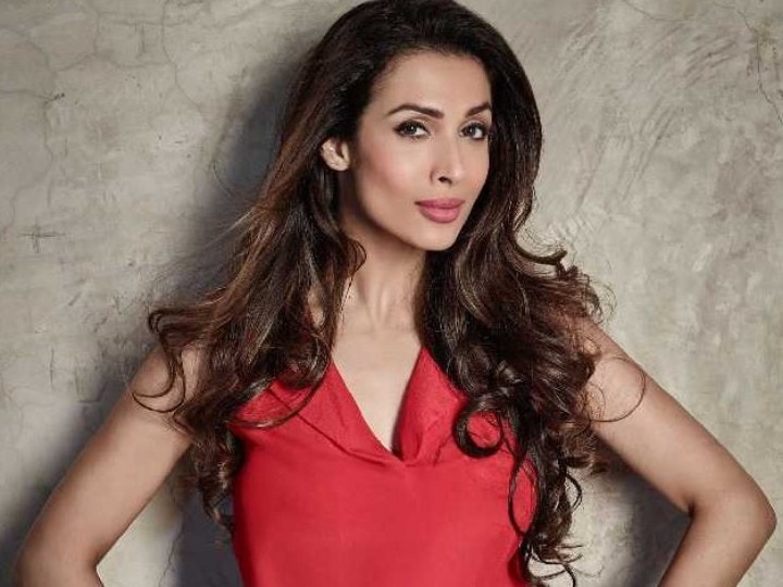 Malaika Arora Career: जब भड़क कर मलाइका अरोड़ा ने कहा था, 'मुझे Salman Khan ने नहीं बनाया, सेल्फ मेड हूं