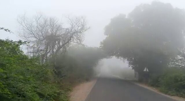 Vadodara : NH 48 પર ધુમ્મસનું સામ્રાજ્ય, વાહન ચાકોને પડી ભારે મુશ્કેલી