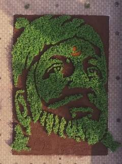 PHOTO : कुणी भव्य रांगोळी काढली तर कुणी तिळावर साकारले शिवराय; कलाकृतीतून महाराजांना मुजरा