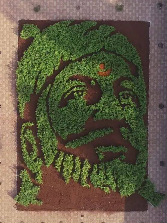 कल्याण पूर्वेतील सार्वजनिक शिवजयंती उत्सव मंडळातर्फे या वर्षीच्या शिवजयंतीनिमित्त शिवरायांना वंदन करण्यासाठी प्रतिमा साकरण्यात आली आहे, शिवजयंतीनिमित्त सहा हजार रोपांच्या माध्यमातून शिवप्रतीमेची छबी साकारण्यात आली आहे.