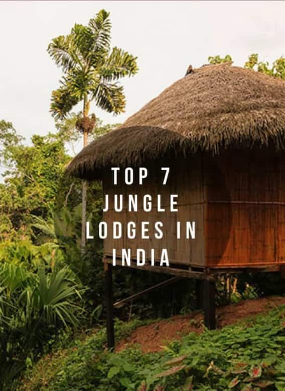 இந்திய வனப்பகுதியில் சஃபாரி செய்து நேரத்தை கழிக்க சிறந்த விடுதிகள் !