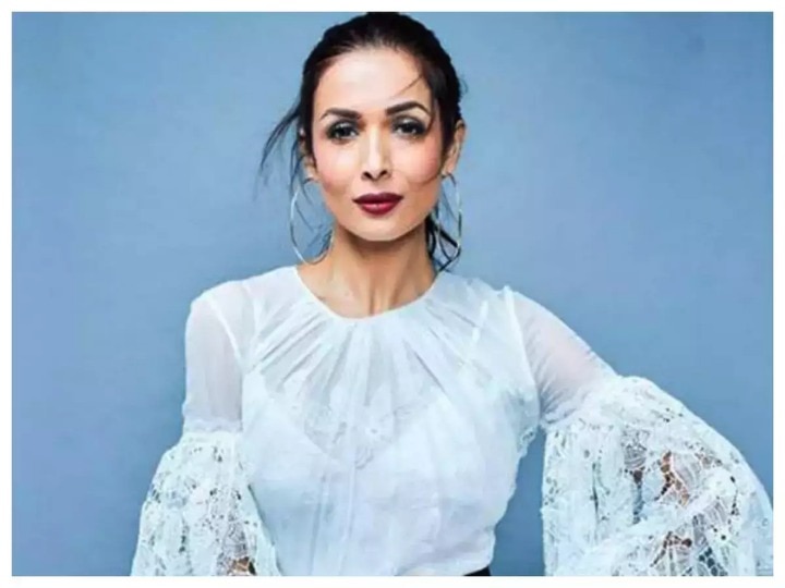 Malaika Arora Career: जब भड़क कर मलाइका अरोड़ा ने कहा था, 'मुझे Salman Khan ने नहीं बनाया, सेल्फ मेड हूं