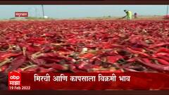 Nandurbar : कोरड्या मिरचीला 17,500 रूपयांना भाव, मिरची आणि कापसाला विक्रमी भाव : ABP Majha