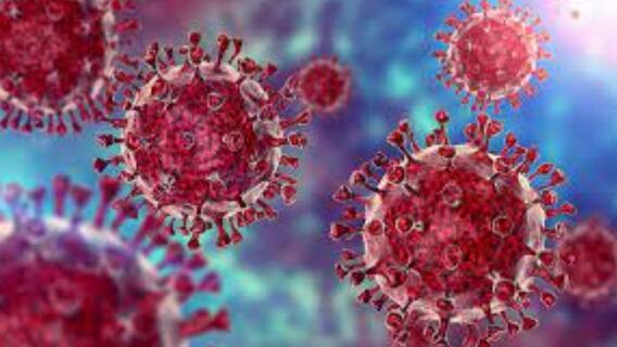 India Covid: স্বস্তি দিয়ে আরও কমল দৈনিক মৃত্যু ও সংক্রমণ|Bangla News