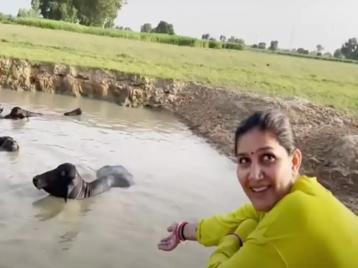 Watch : ਛੱਪੜ 'ਚ ਮੱਝਾਂ ਨਹਾਉਣ ਗਈ ਸਪਨਾ ਚੌਧਰੀ, ਇਸ ਗੱਲ 'ਤੇ ਹੋਈ ਗੁੱਸੇ, ਪਤੀ ਨੇ ਪਿਆਰ ਨਾਲ ਸਮਝਾਇਆ