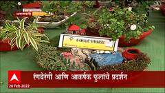 Amravati : अमरावतीकरांनो, या प्रदर्शनाला भेट द्या; रंगबेरंगी आणि आकर्षक फुलांचे प्रदर्शन