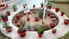 PHOTO : फुलांनी फुलली अंबानगरी; अनोखं पुष्पप्रदर्शन पाहून तुम्हीही म्हणाल, व्वा...