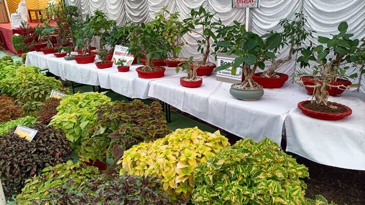 परंतु हा आनंद फक्त आपल्या घरच्या बगिच्यापुरता मर्यादित न राहता सर्व अमरावतीवासीयांना मिळावा या उद्देशाने या प्रदर्शनाचं आयोजन केलंय.