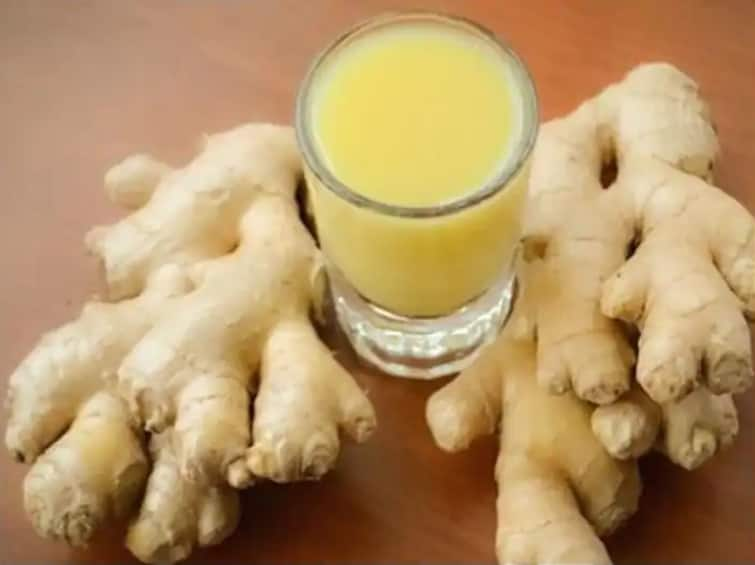 health tips drinking ginger water strengthens immunity benefits of ginger Ginger benefits : आल्याचे पाणी प्यायल्याने रोगप्रतिकारशक्ती मजबूत होते, आरोग्याला मिळतात 'हे' आश्चर्यकारक फायदे