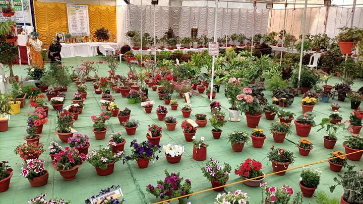 विश्वभारती पब्लिक स्कुलच्या प्रांगणात अमरावती गार्डन क्लबच्या वतीने प्रदर्शन आयोजित करण्यात आले आहे.