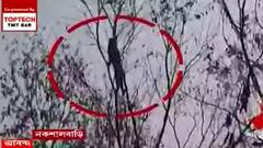 Darjeeling: একেবারে মগডালে উঠে পড়ল চিতাবাঘ ! তিন ঘণ্টা পর এলাকায় স্বস্তি। Bangla News