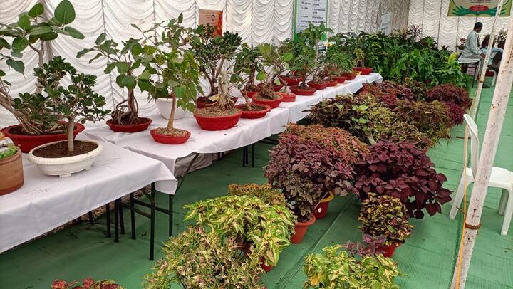 काल 19 आणि आज 20 फेब्रुवारी दरम्यान हे प्रदर्शन आयोजित करण्यात आले.