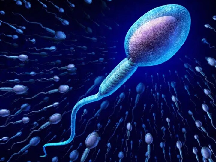 Sperm Quality: ஆண்களுக்கு அதிர்ச்சி தகவல் : காற்று மாசுபாட்டால் விந்தணுக்களுக்கு இந்த நிலைமையா?