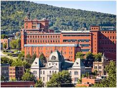 Canada: कनाडा में अचानक बंद हुए 3 कॉलेज, सैकड़ों भारतीय स्टूडेंट्स फंसे, भारतीय उच्चायोग ने जारी की एडवाइजरी