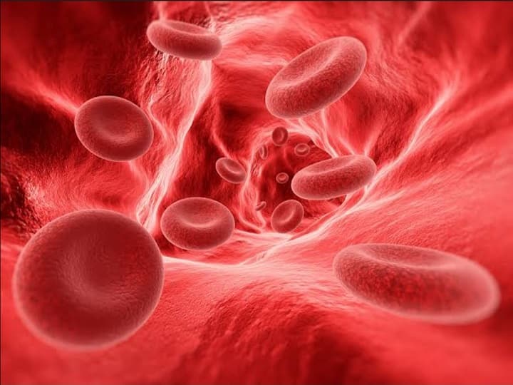 Anemia: Get to know the reasons, symptoms and treatment Anemia: ক্লান্তি থেকে মাথাব্যথা, অ্যানিমিয়া চেনা যায় নানাভাবে