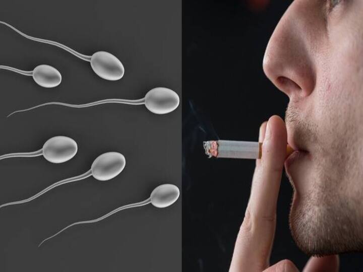 Sperm Health air pollution affect sperm quality male fertility recent study Sperm Quality: ஆண்களுக்கு அதிர்ச்சி தகவல் : காற்று மாசுபாட்டால் விந்தணுக்களுக்கு இந்த நிலைமையா?