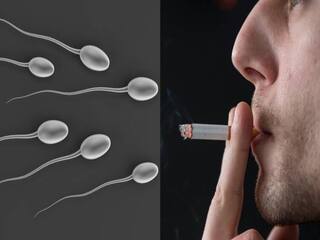 Sperm Quality: ஆண்களுக்கு அதிர்ச்சி தகவல் : காற்று மாசுபாட்டால் விந்தணுக்களுக்கு இந்த நிலைமையா?